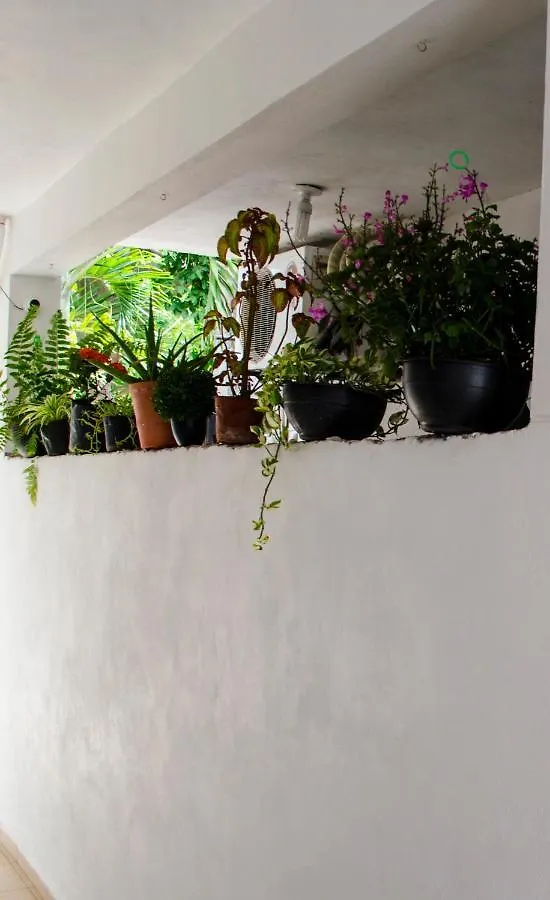 Casa Mar Apartment Playa del Carmen Mexico